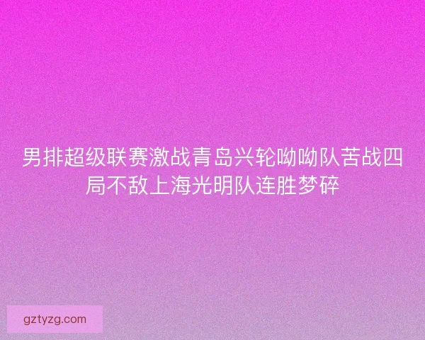 男排超级联赛激战青岛兴轮呦呦队苦战四局不敌上海光明队连胜梦碎